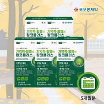 뇌 기능 생각 활성화 에 좋은 기억력 인지력 저하 감퇴 혈행 개선 플라보놀배당체 은행잎 추출물 징코 ginko 영양제, 5BOX(5개월분)
