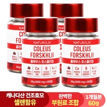[설날 특가] 건조효모 콜레우스 포스콜리 결정판 60정 셀레늄 판토텐산 칼슘, 4개