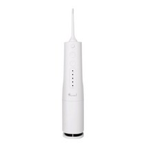 덴탈픽 DP-1900K 휴대용 구강세정기, DP-1900K [LB397]