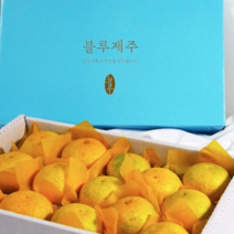 제주직송 만감류 고당도 제주귤 달달한 황금향 선물용 2.5kg 4.5kg 구성, 선물용 중 (2.5kg 8~13과), 1개