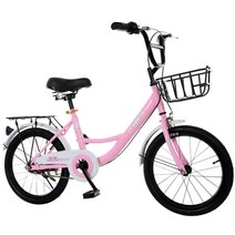 어린이 2발 자전거 티타늄 20인치 22인치, 22인치 녹색