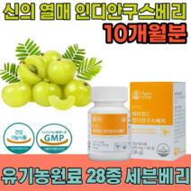 식약처 인증 신의 열매 인디안 구스 베리 비타민 C 110mg 유기농 원료 28종 세븐베리 무부형제 무첨가물 하루 한알 임신 전 후 직장인 간편하게 먹는 영양보충제 파는 곳 추천, 5