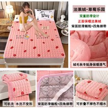 카라반토퍼 손님용 기숙사 원룸 돌쇼파 두꺼운 극세사 매트, 파라다이스