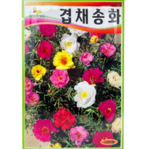 식물의집 채송화 접시꽃 에키네시아 안개초 페튜니아 테디베어 코스모스 풍접초 해바라기 나팔꽃 금잔화 과꽃 루피너스 루드베키아 금계국 야생화 세계 매발톱 백일홍 국화 꽃모음 꽃씨앗, 겹채송화