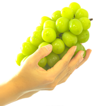 [당도선별] 순분이네 김천 선물용 고당도 샤인머스켓 2kg 4kg, 달달 샤인 (500g 내외) 4수 2kg