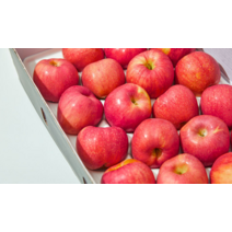 경북 홍로 아리수사과 대과4kg 시나노스위트 사과 산지직송 햇사과