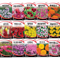 봄꽃 겹꽃 아마 부용화 아마 수국 세이지 아욱 플록스 국화 접시꽃 데이지 양지꽃 나팔꽃 사루비아 풍접초 투베로사 아도니스 클라키아 채송화 장미 봉선화 해바라기 꽃잔디 씨앗, 양귀비