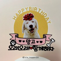 아이리스토퍼 반려동물 생일토퍼 오래오래 함께하자 HBD, 기본토퍼(이름&나이 메모남겨주세요)