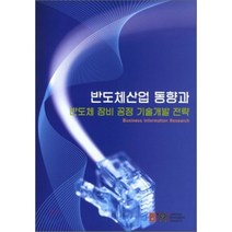 반도체산업 동향과 반도체 장비 공정 기술개발 전략, 비아이알, 편집부 편