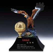 SP팩토리 골프트로피 홀인원 이글 싱글 우승 크리스탈트로피, 12번트로피