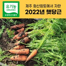산지직송 제주 유기농 당근 흙당근 햇당근 3kg 5kg 10kg, 제주 유기농 당근 3kg(특상혼합)