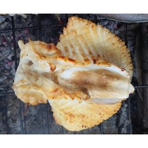 고흥 숯불 생선구이 갑오징어 섬마을어부, 구운갑오징어(400g), 400g~450g