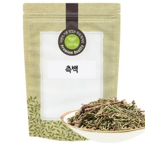 측백 측백엽 600g 국산 국내산, 단품, 1개