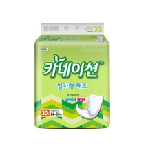 카네이션 일자형패드(2회)30개입 성인기저귀, 2팩