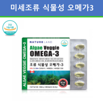 식약처인증 식물성 알티지오메가3 미세조류 추출 rTG 형 임산부 오메가 고순도 필수 불포화 지방산 고함량 DHA 스키조키트리움 카라키닌 미세혈관 혈행 뇌혈관 뇌 건강 영양제 추천
