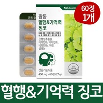 광동 징코 은행잎추출물 혈행 기억력 플라보놀배당체 영양제 비타민 셀레늄 아연 함유 50대 60대 부모님 여성 남성, 1박스, 60정, 1개