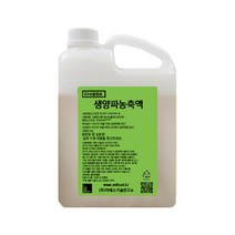 ES 식품원료 생양파농축액 [1942], 2kg