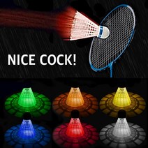 아싸라봉 나이스콕 LED 야광 불빛 나이트 셔틀콕 배드민턴 공 6가지 라이트볼, 혼합색상, 6개입