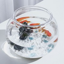 플라스틱 둥근 어항 원형 18X16cm 구피 베타 키우기 알비노폴레드구피 금붕어키우기, 플라스어항18X16cm