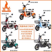 피닉스 픽업 세발 로드 배달 삼륜 전기자전거, 주행거리, 배터리용량