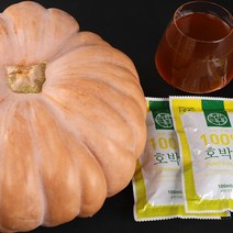 착한톡톡 늙은 호박즙 100ml 120포, 4개, 3L