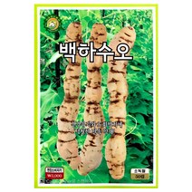 백하수오씨앗 50알 하수오 씨앗 종자