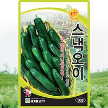 스낵오이 씨앗 30립 아삭한 식감과 맛이 좋은 생식용 미니 오이씨 채소종자, 단품