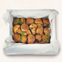 자연산 송이버섯 1kg 선물용 가정용, (중국산)자연산송이버섯1kg(선물용)