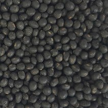 전남 무안 황토밭 청약콩 1kg, 단품