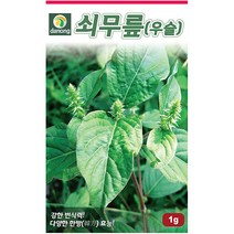 곤드레 100립 - 씨 씨앗 곤드레씨앗 곤드레씨 나물씨 나물씨앗 민속채소 채소씨 채소씨앗 고려엉겅퀴, 24_다농_쇠무릎(우슬)(1g)