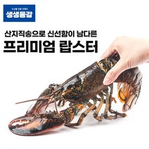 활랍스타 킹크랩 900g 자숙랍스터 랍스터 고씨네