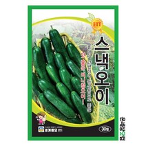 청스낵오이 30립 / 오이씨앗 오이씨 미니오이 씨앗 베란다텃밭, 1개