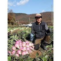 강화순무(노지순무)1상자10KG