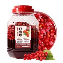 농업회사법인 문경 생 오미자청 자일로스 당절임 10kg