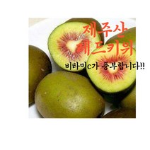 (비타민C가득한) 제주산 레드키위 1kg 중과 무료배송!!, 5개
