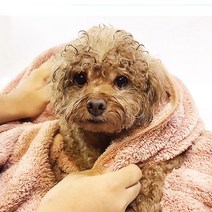 한샘크리너 국내산 초극세사 애견타올 강아지타올 펫타올 40*60, 블루