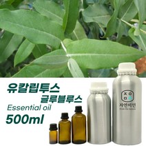 100% PURE 천연 허브 효능 효과 아로마 원액 에센셜 오일 -100ml 모음, 유칼립투스-글루블루스100ml