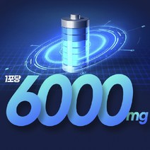 아르기닌액상 맥스 파워 아르기닌6000 15포