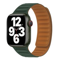 데이A 애플워치 스트랩 마그네틱 메탈 가죽 8 7 6 SE2 호환, 38/40/41mm, 그린, 그린
