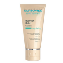 슈라멕 블레미쉬밤 비비크림 40ml, 라이트, 6개