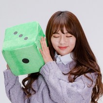 스펀지주사위(대) 스펀지 대형주사위 게임 파티용품 놀이용품, 그린