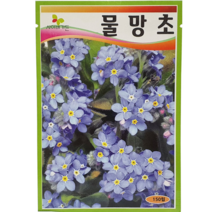 식물의집 물방초 꽃씨 종자 봄 여름꽃 씨앗씨
