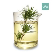 마타바 유카 추출물(천연거품제) (diy재료), 50ml