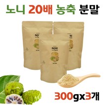 프리미엄 노니 가루 분말 쉐이크 먹는방법 폴리페놀 미네랄 폴리페놀 프로제로닌 레시피 먹는법 40대 50대 직장인 60대 주부 NONI 첨가물없는 먹기편한 파우더 비타민