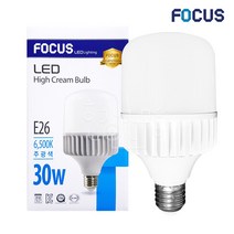 포커스엘이디 포커스 LED 보안등 글러브램프 30W, 주광색(흰색빛), 포커스LED글러브램프30W(E26)