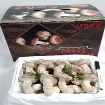 송이송향버섯 송화버섯 송고버섯 농가직송 무농약친환경, 1박스, 선물용(고급)1kg