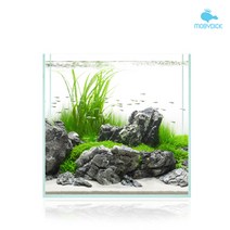 [모비딕] 45큐브 유리어항(매트포함) 45x45x45 6T