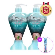 LG 생활건강 히말라야핑크솔트 펌핑치약 아이스민트 285gx2개+칫솔 1입, 285g, 1세트