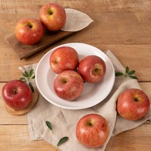 경북 청송사과 홍로 부사 꿀사과 못난이 가정용 중소과2kg