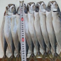 부산 참고등어 12마리(2.2kg내외) 천일염수로 염장해서 짜지않고 맛있는 손질 고등어, 참고등어 (소) 12마리 2.2kg내외